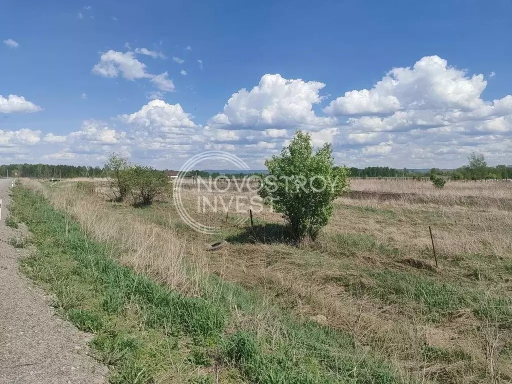 Участок в Красноярский край, Емельяновский район, с. Частоостровское ... - Фото 1