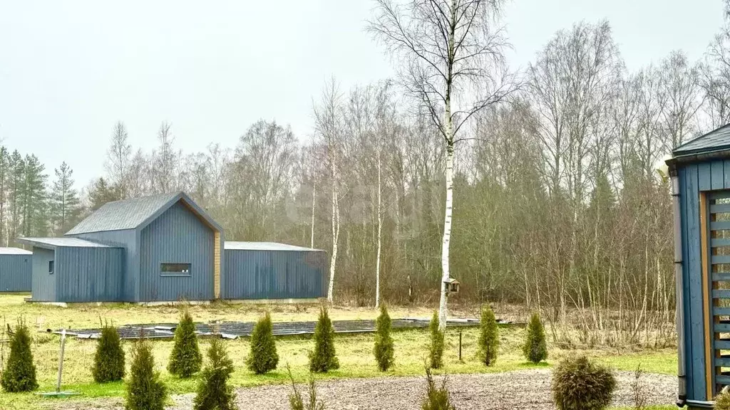 Участок в Ленинградская область, Ломоносовский район, Лопухинское ... - Фото 1