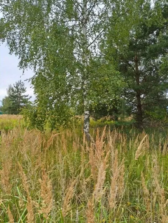 Участок в Московская область, Шатура муниципальный округ, д. ... - Фото 1