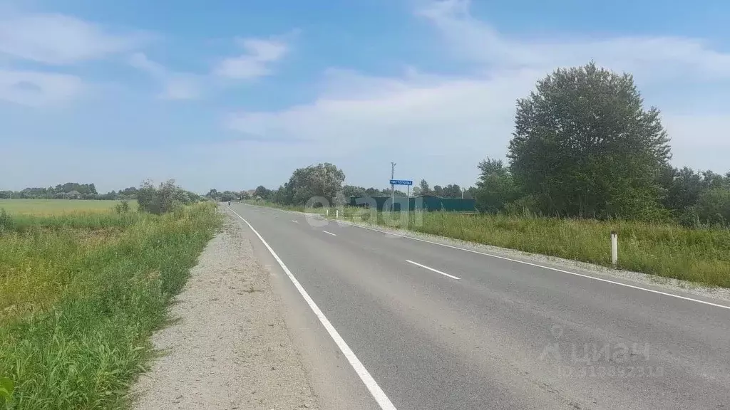 Участок в Хабаровский край, Хабаровский район, с. Чистополье ... - Фото 1