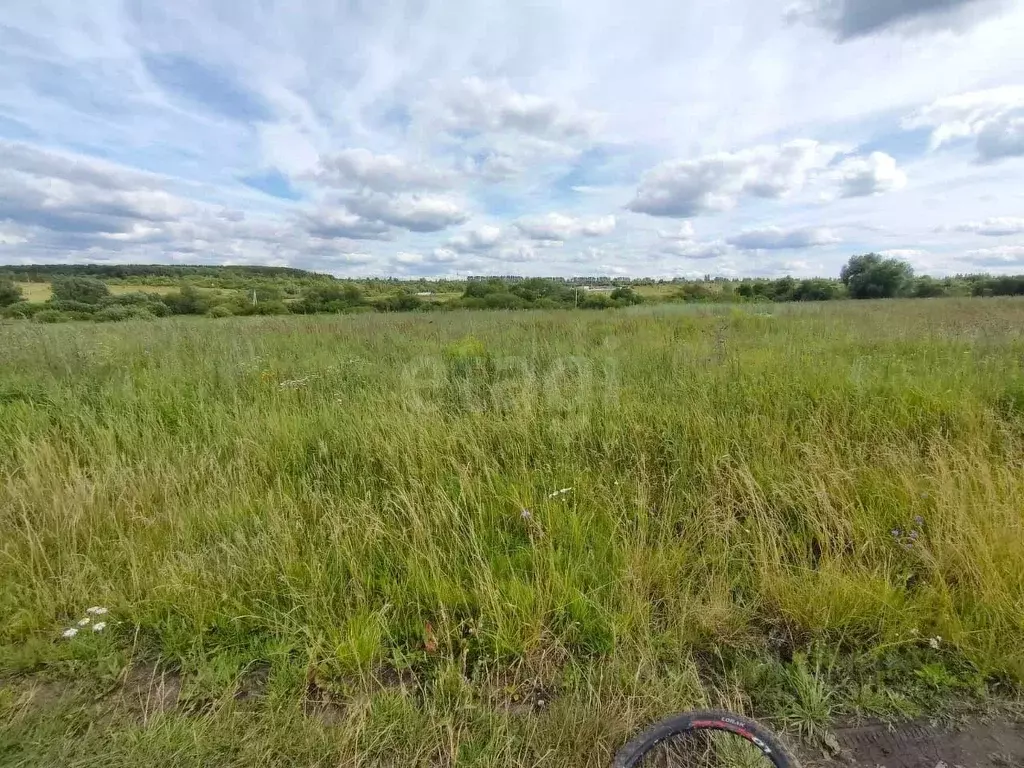 Участок в Мордовия, Лямбирский район, с. Берсеневка  (6.0 сот.) - Фото 1