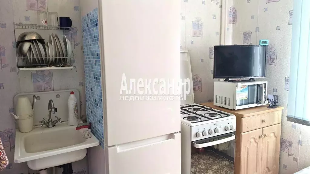 1-к кв. Ленинградская область, Приозерский район, Плодовское с/пос, ... - Фото 2