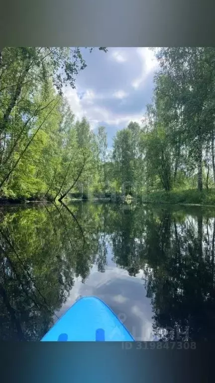 Участок в Ярославская область, Брейтовский муниципальный округ, ... - Фото 0