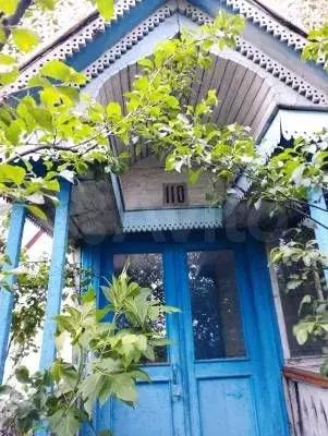 Дом 30,8 м на участке 12,1 сот. - Фото 0