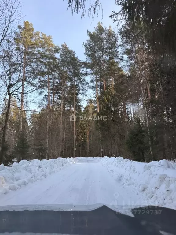 Участок в Владимирская область, Собинский муниципальный округ, Исток-3 ... - Фото 1