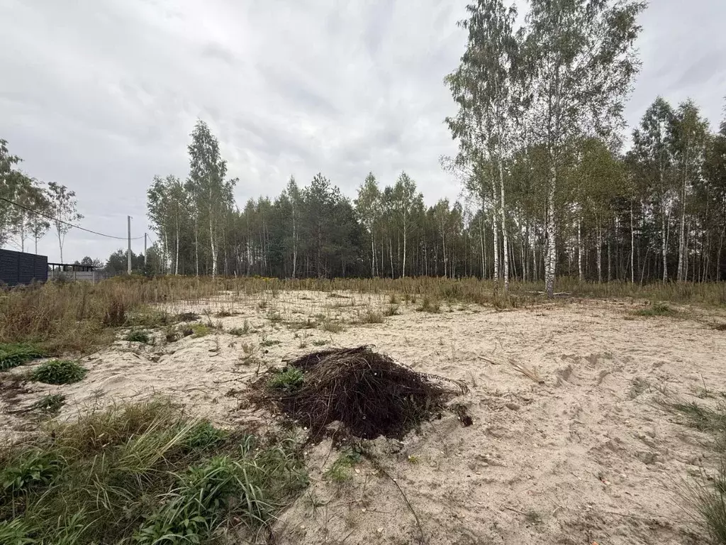 Участок в Брянская область, Брянский район, Нетьинское с/пос, д. ... - Фото 1