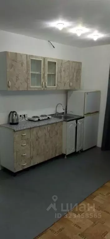 Дом в Алтай, Майминский район, с. Кызыл-Озек Советская ул. (45 м) - Фото 1