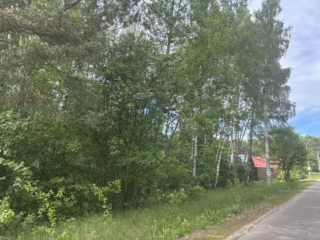 Участок в Московская область, Павлово-Посадский городской округ, д. ... - Фото 1