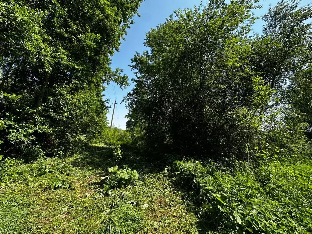 Участок в Тульская область, Тула городской округ, д. Балакирево  (15.0 ... - Фото 1