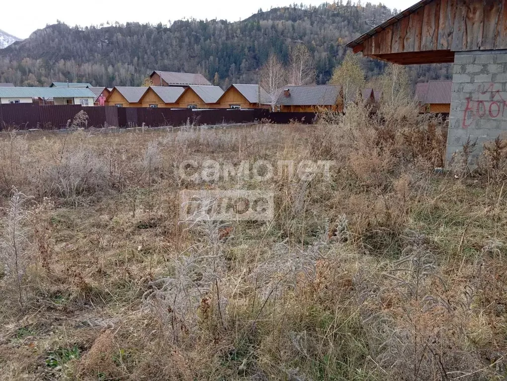 Участок в Алтай, Чемальский район, с. Чемал ул. Новоселов (11.78 сот.) - Фото 1