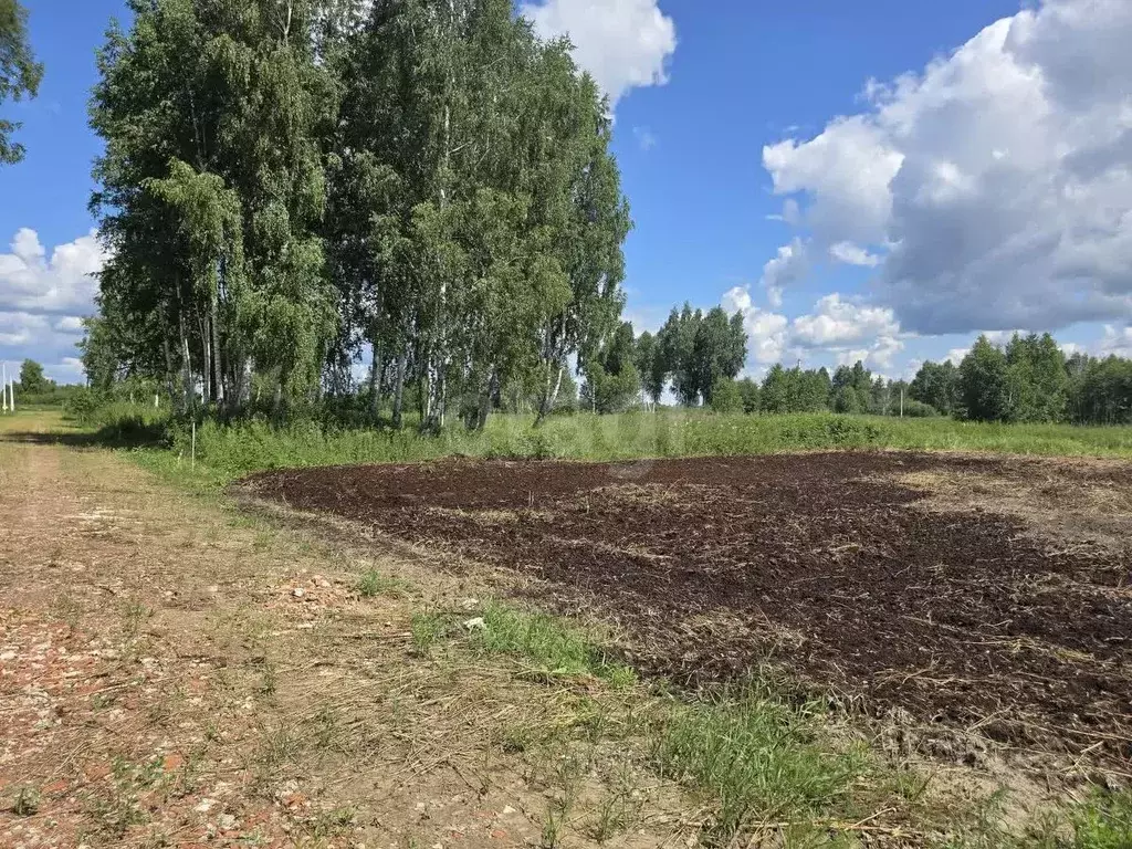 Участок в Тюменская область, Нижнетавдинский муниципальный округ, ... - Фото 1