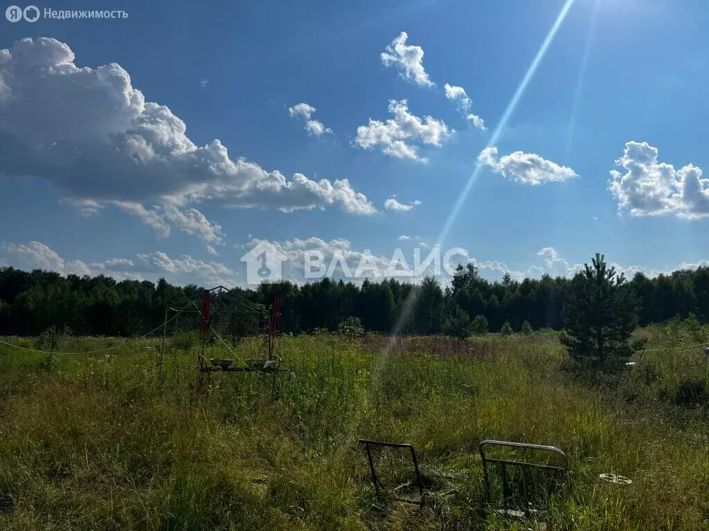 Дом в Московская область, городской округ Чехов, деревня Леониха (153 ... - Фото 0