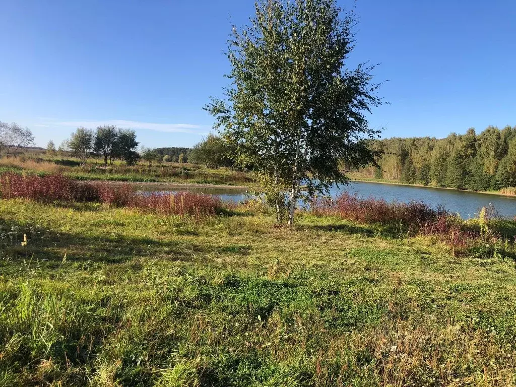 Участок в Московская область, Домодедово городской округ, д. Кутузово  ... - Фото 0