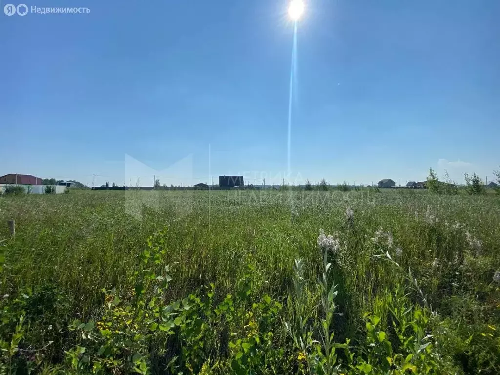 Участок в Тюменский муниципальный округ, деревня Криводанова (13.64 м) - Фото 2