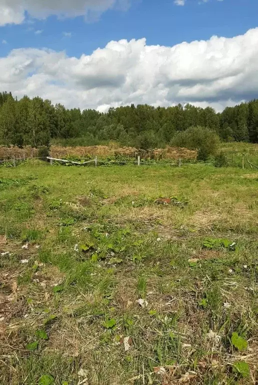 Участок в Коми, Сыктывдинский район, Лэзым муниципальное образование, ... - Фото 1