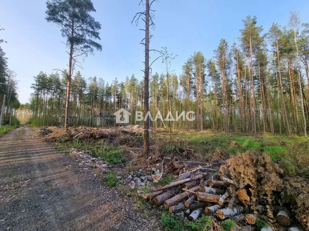 Участок в Ленинградская область, Всеволожский район, Свердловское ... - Фото 1