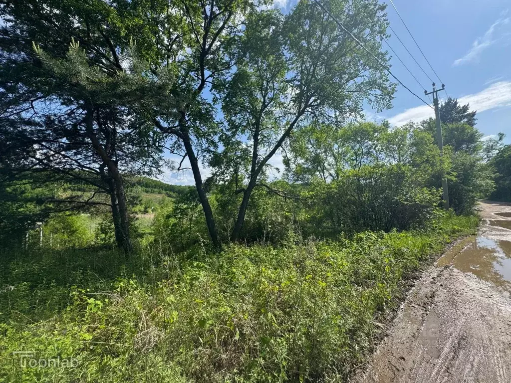 Участок в Амурская область, Благовещенск  (29.0 сот.) - Фото 2