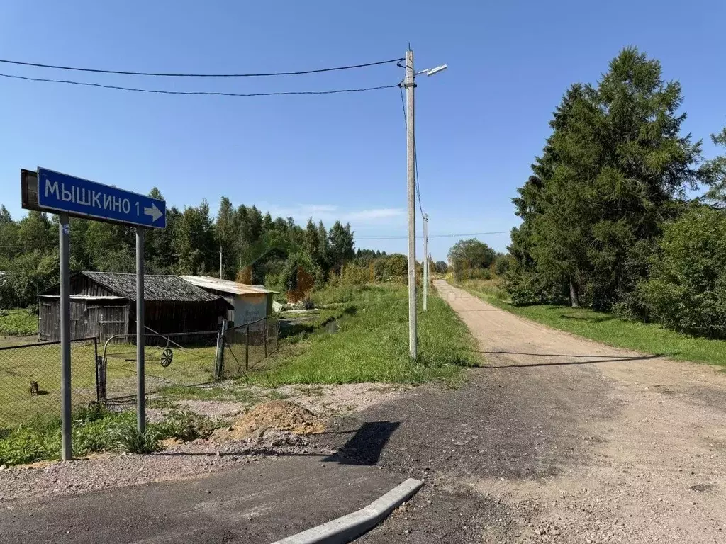 Участок в Ленинградская область, Кингисеппский район, Нежновское ... - Фото 1