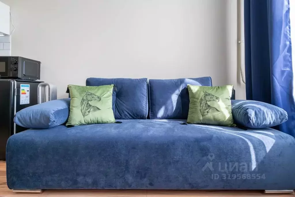 Студия Санкт-Петербург Зверинская ул., 26 (20.0 м) - Фото 0