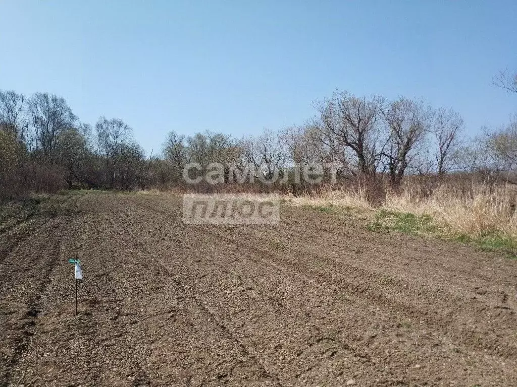 Участок в Сахалинская область, Анивский городской округ, с. Мицулевка  ... - Фото 0