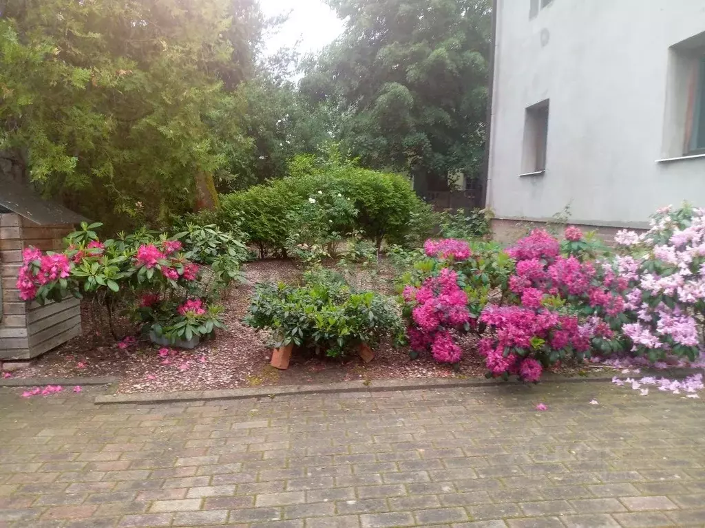 Участок в Калининградская область, Калининград ул. Тургенева (12.89 ... - Фото 2