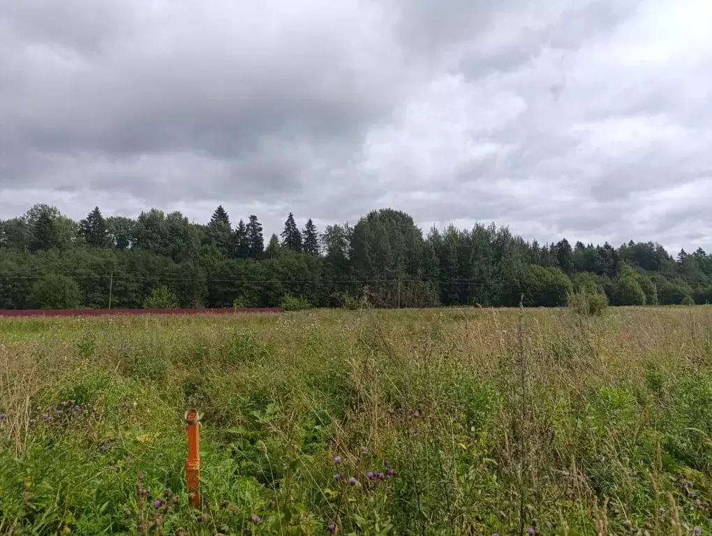 Участок в Ленинградская область, Волосовский район, Клопицкое с/пос, ... - Фото 1