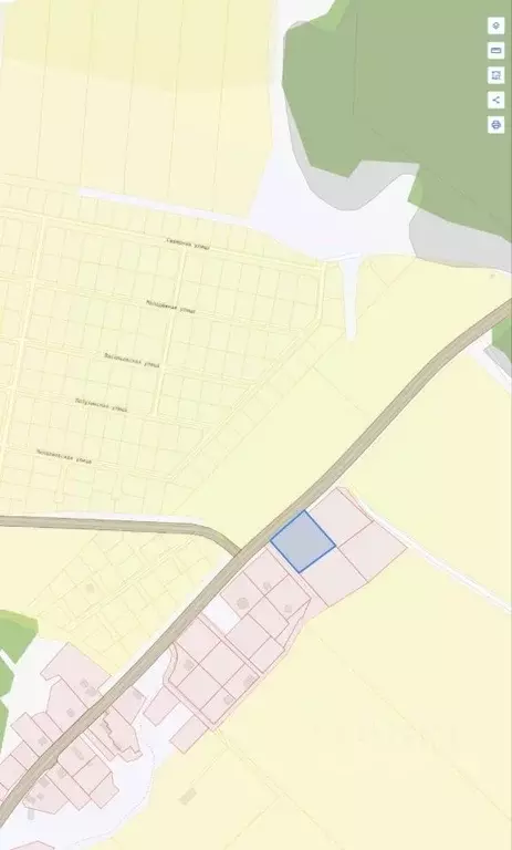 Участок в Ленинградская область, Ломоносовский район, Лопухинское ... - Фото 0