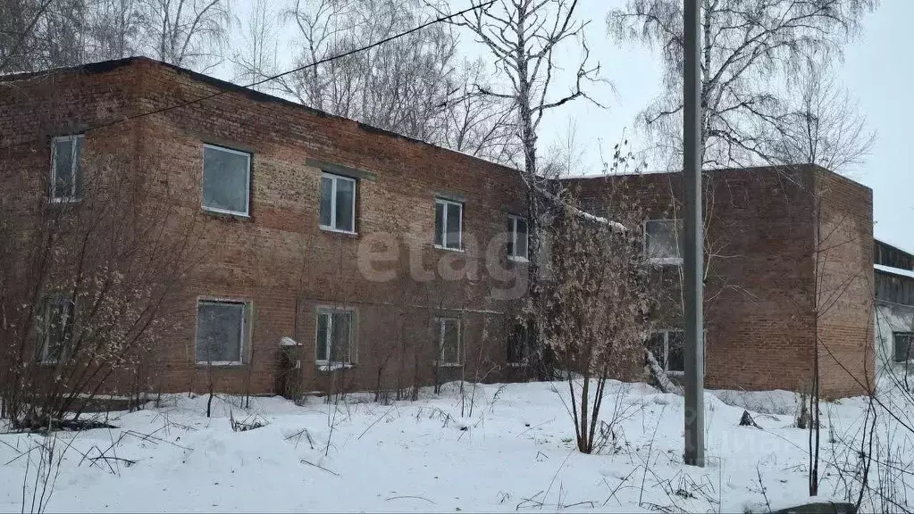 Помещение свободного назначения в Новосибирская область, Ордынский ... - Фото 1