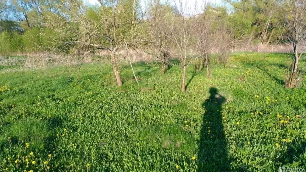 Участок в Владимирская область, Суздальский район, Новоалександровское ... - Фото 2
