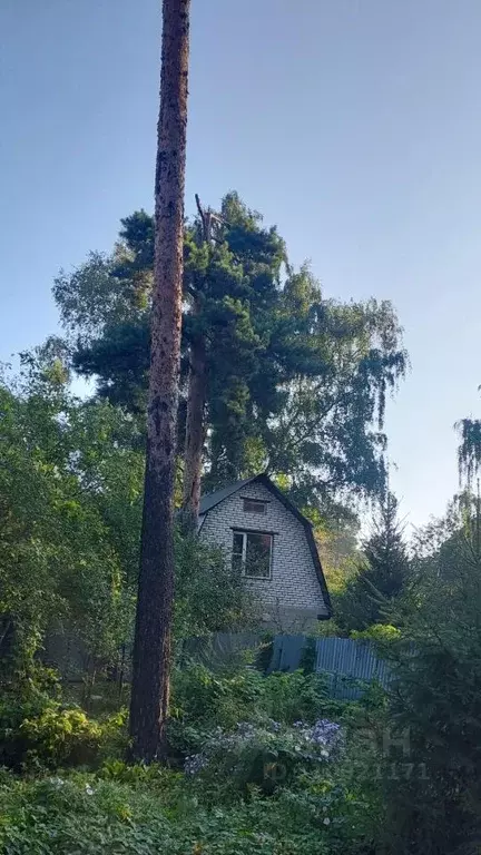 Дом в Московская область, Люберцы городской округ, Малаховка пгт ул. ... - Фото 1