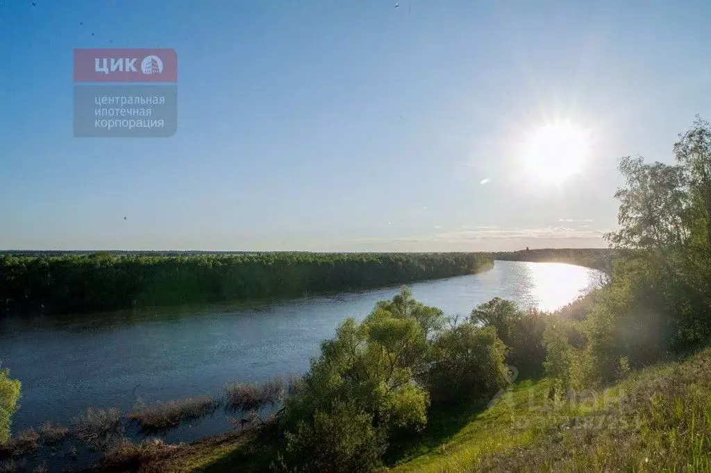 Участок в Рязанская область, Спасский муниципальный округ, с. Новый ... - Фото 2