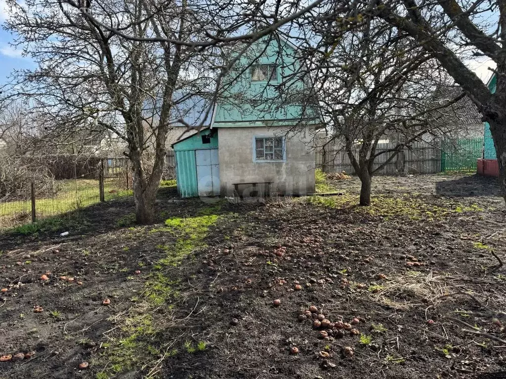 Дом в Тамбовский муниципальный округ, СНТ Весеннее, подразделение ... - Фото 1
