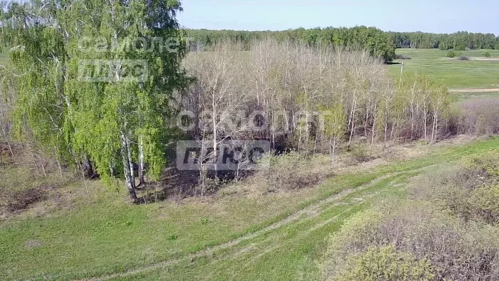 Участок в Челябинская область, Аргаяшский район, Дербишевское с/пос, ... - Фото 1