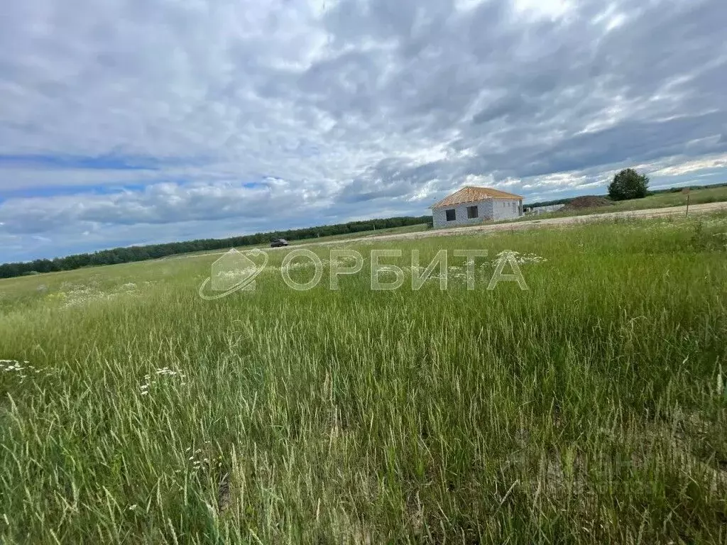 Участок в Тюменская область, Тюменский район, Новокаменский кп  (6.1 ... - Фото 0