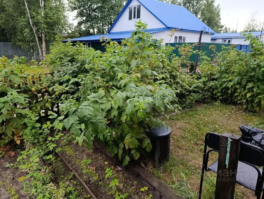 Дом в Ямало-Ненецкий АО, Ноябрьск ул. Героев Ямала (47 м) - Фото 2