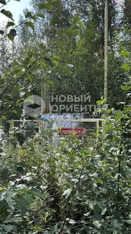 Участок в Свердловская область, Первоуральск муниципальный округ, с. ... - Фото 0