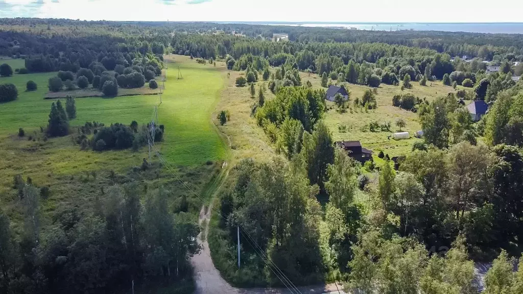Участок в Ленинградская область, Кингисеппский район, Вистинское ... - Фото 2