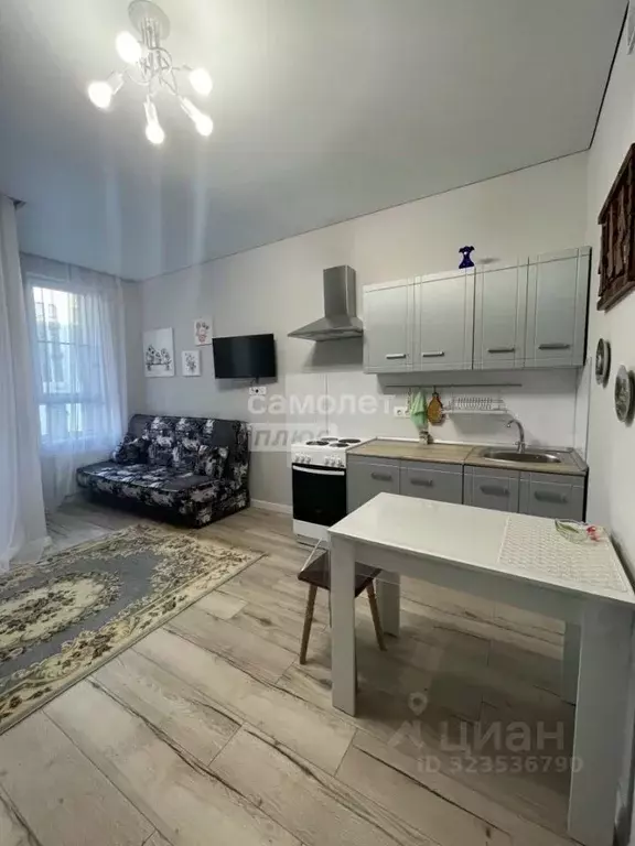 Студия Московская область, Химки ул. Генерала Дьяконова, 13 (30.0 м) - Фото 1