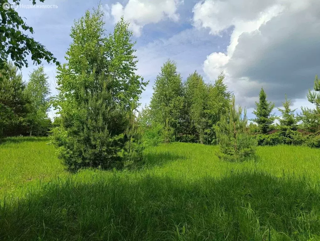 Участок в Ярославская область, Рыбинский муниципальный округ, деревня ... - Фото 2