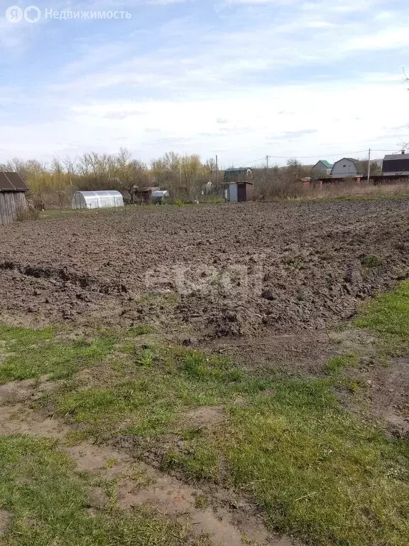 Участок в Орловский муниципальный округ, деревня Тайное (8 м) - Фото 0