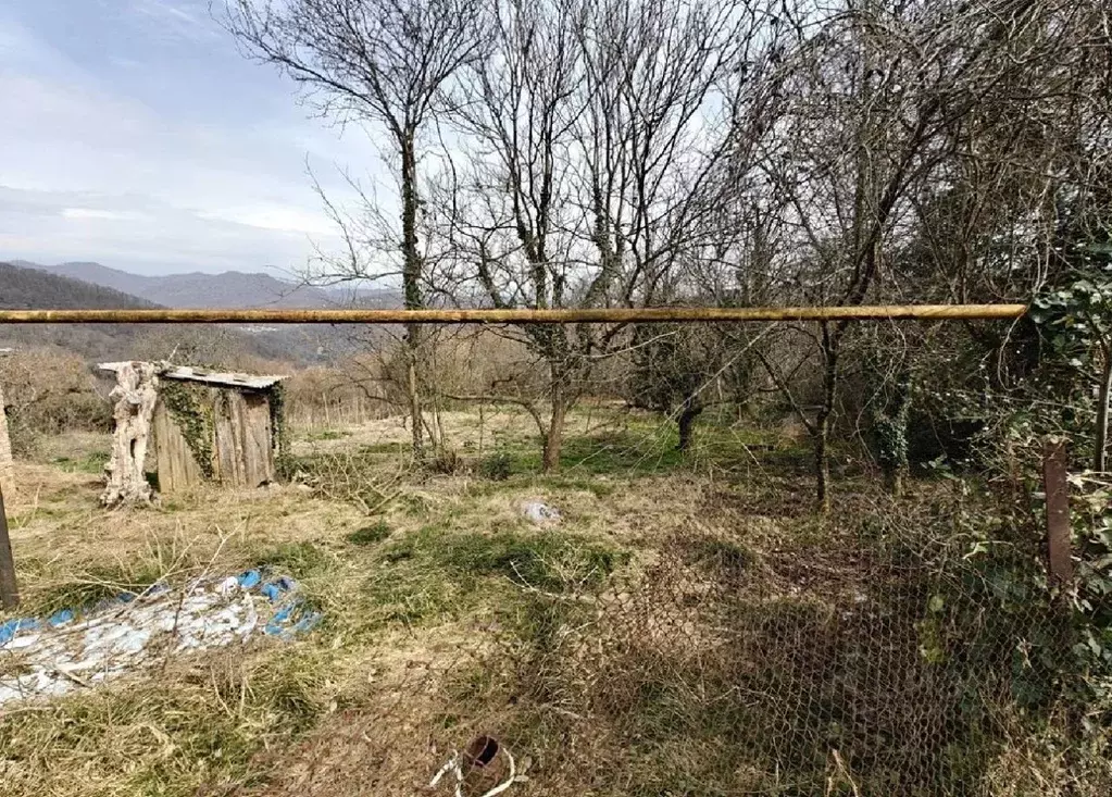 Участок в Краснодарский край, Сочи городской округ, с. ... - Фото 2
