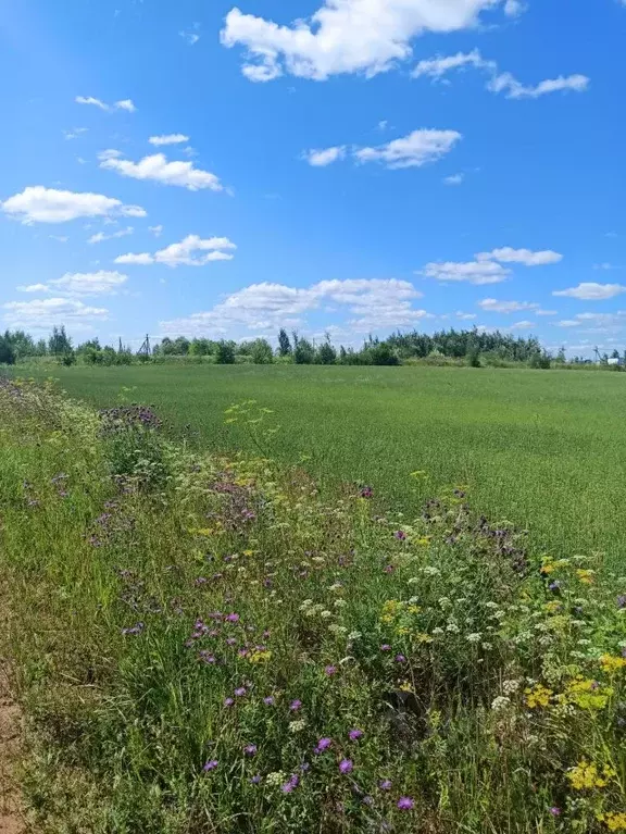 Участок в Кировская область, Слободской район, Ленинское с/пос, д. ... - Фото 2