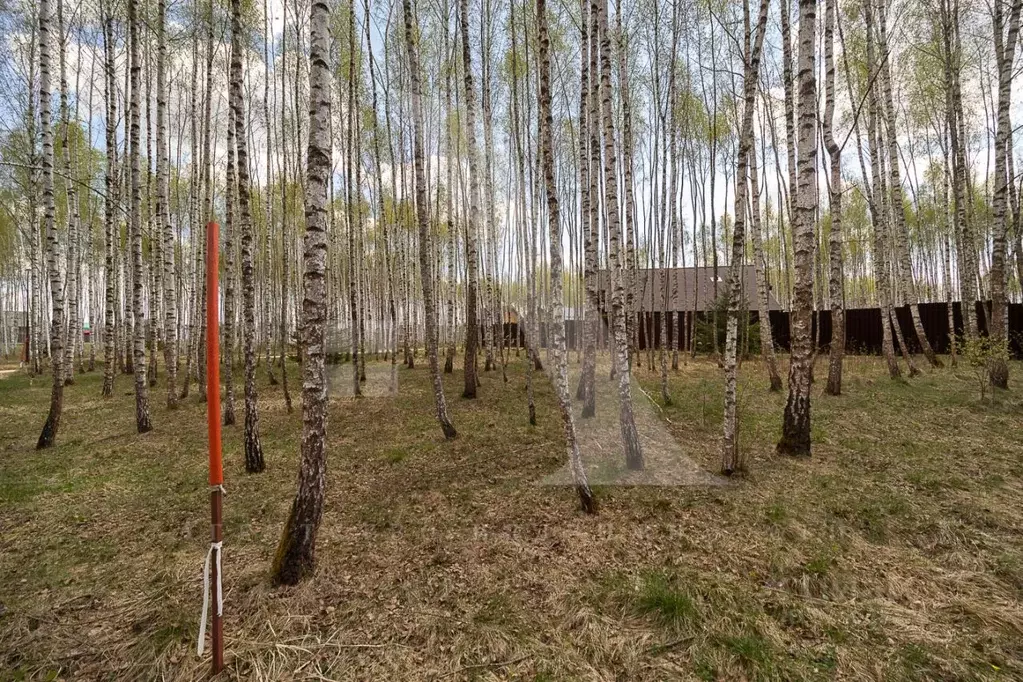 Участок в Московская область, Ступино городской округ, с. Мышенское, ... - Фото 1