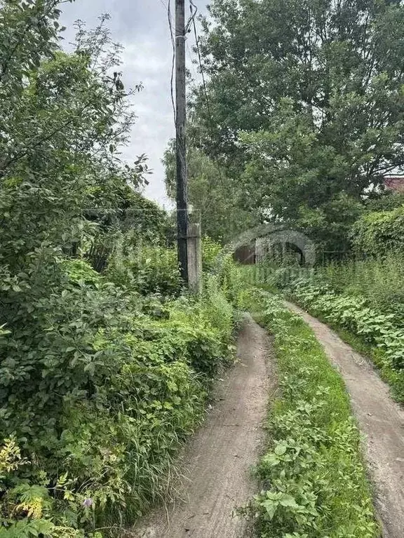 Дом в Воронежская область, Воронеж Кировец СНТ, 591 (29 м) - Фото 0