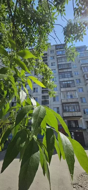 2-к. квартира, 54 м, 9/9 эт. - Фото 0