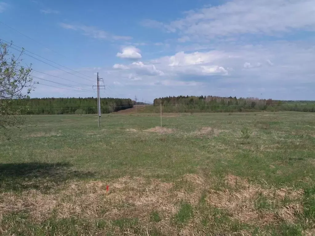 Участок в Ленинградская область, Кировский район, Мгинское городское ... - Фото 1