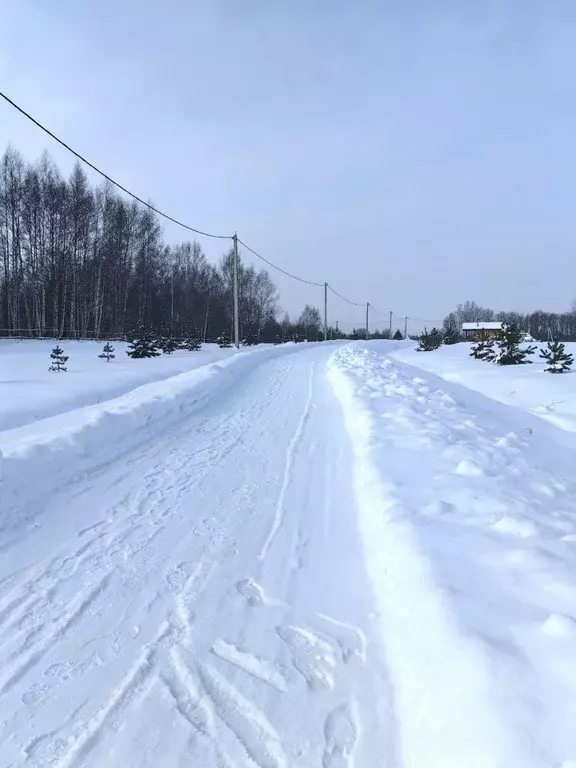 Участок в Ярославская область, Угличский муниципальный округ, д. ... - Фото 1