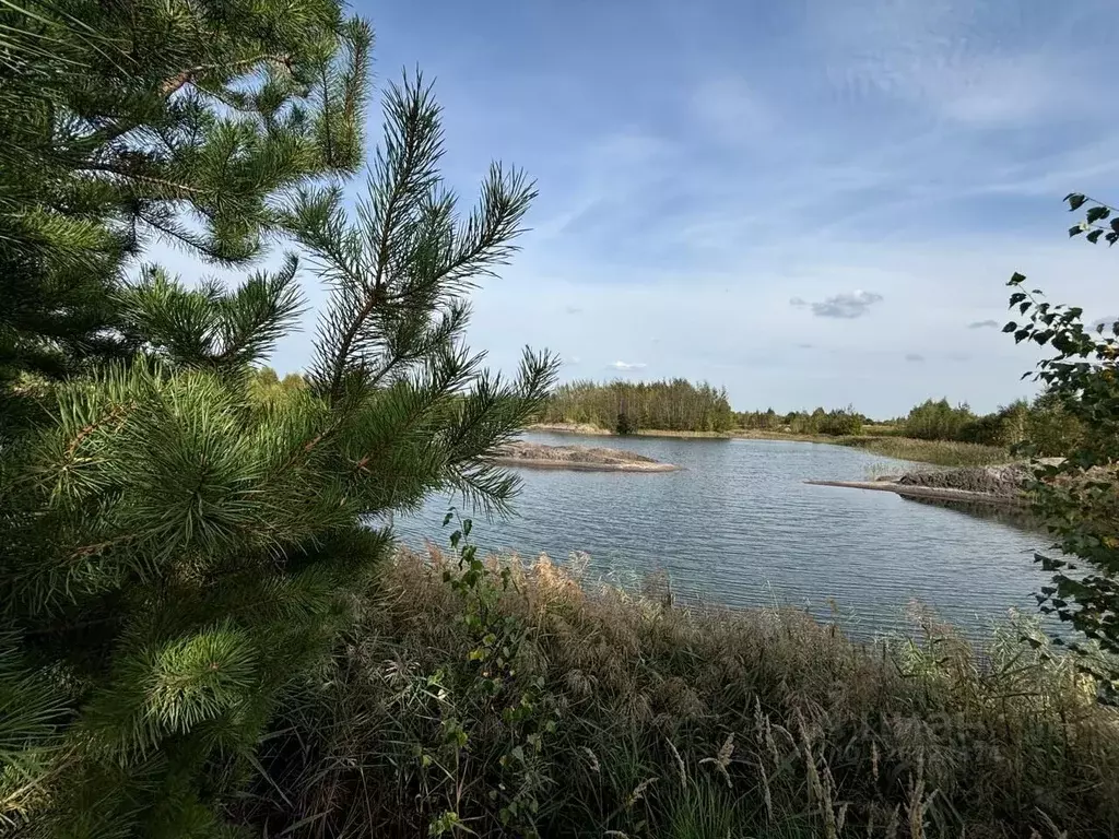 Участок в Московская область, Павлово-Посадский городской округ, д. ... - Фото 2