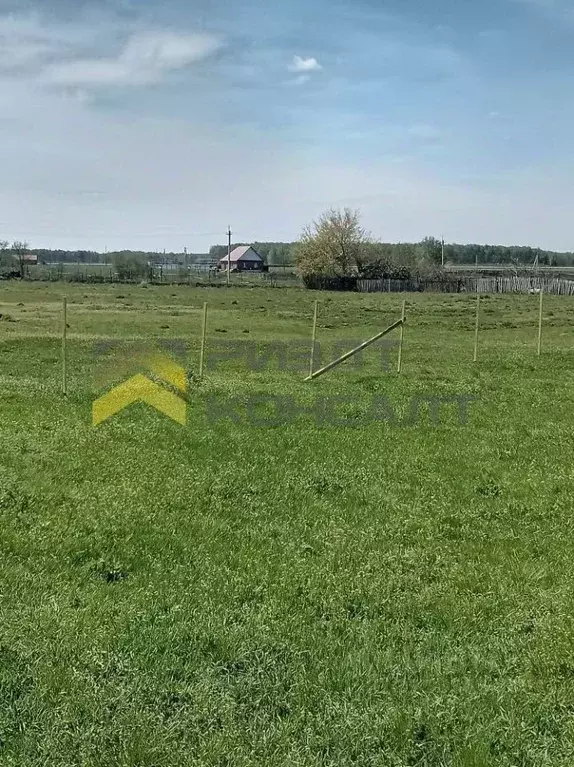 Участок в Омская область, Любинский район, с. Любино-Малороссы ... - Фото 2