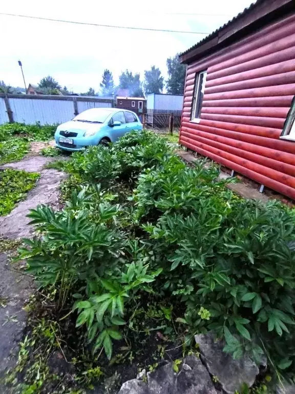 Дом в Омская область, Омск СОСН Лесное тер., аллея 8-я (56 м) - Фото 2